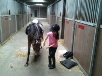 /album/the-best-pony/camera-marjan-1149-jpg/